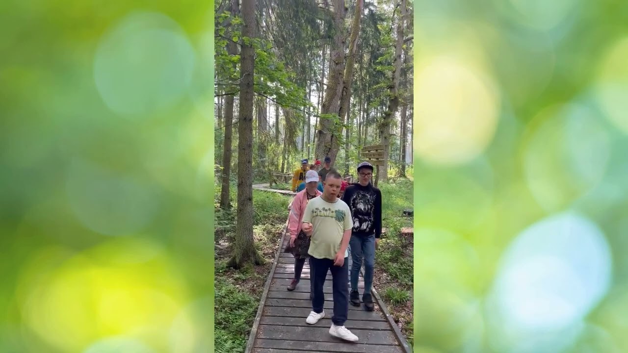 Pažintinė - tiriamoji kelionė po Dubravos rezervatinę apyrubę