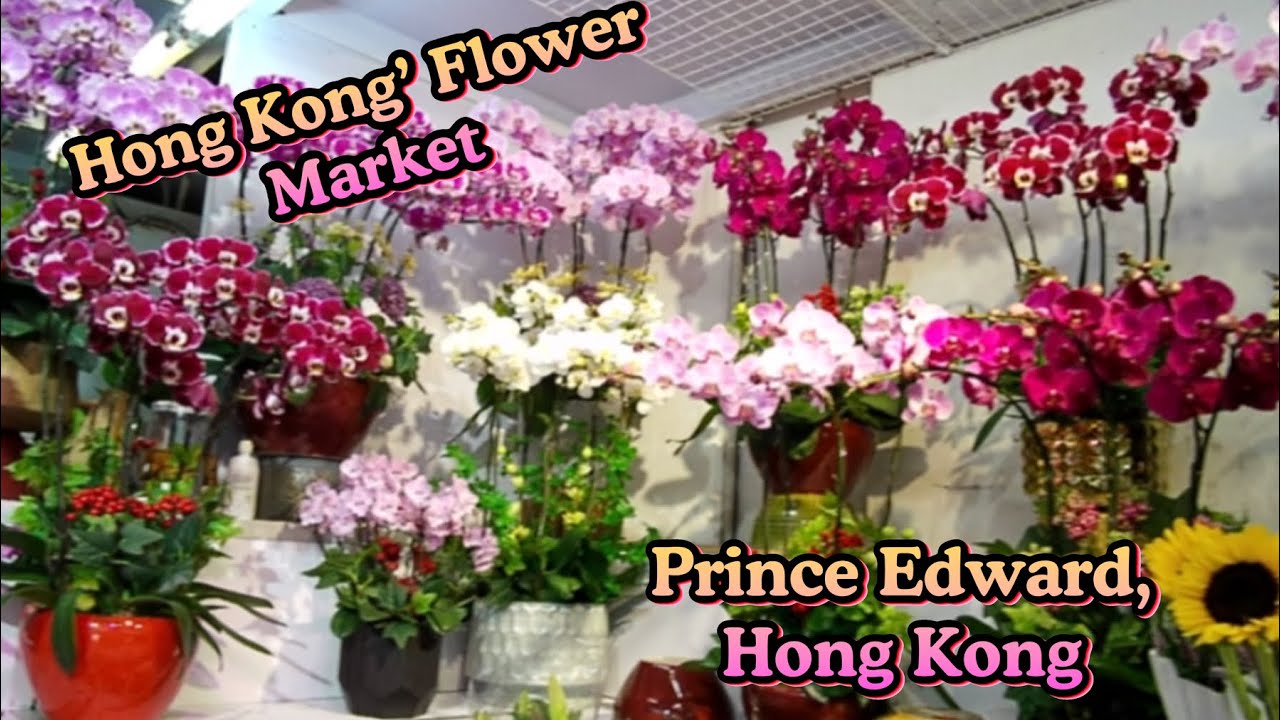 Flower Market in Prince Edward Hong Kong