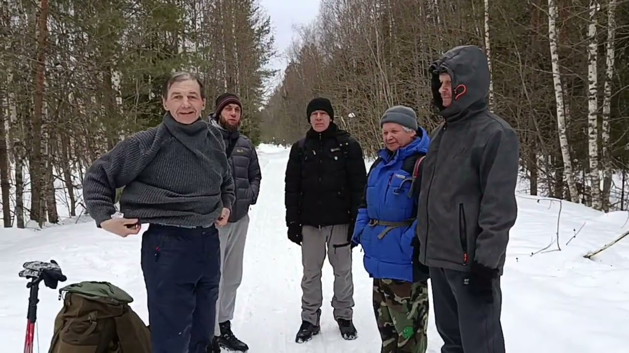 2026-03-07 Пеший поход от Кохмы до Лебяжьего Луга