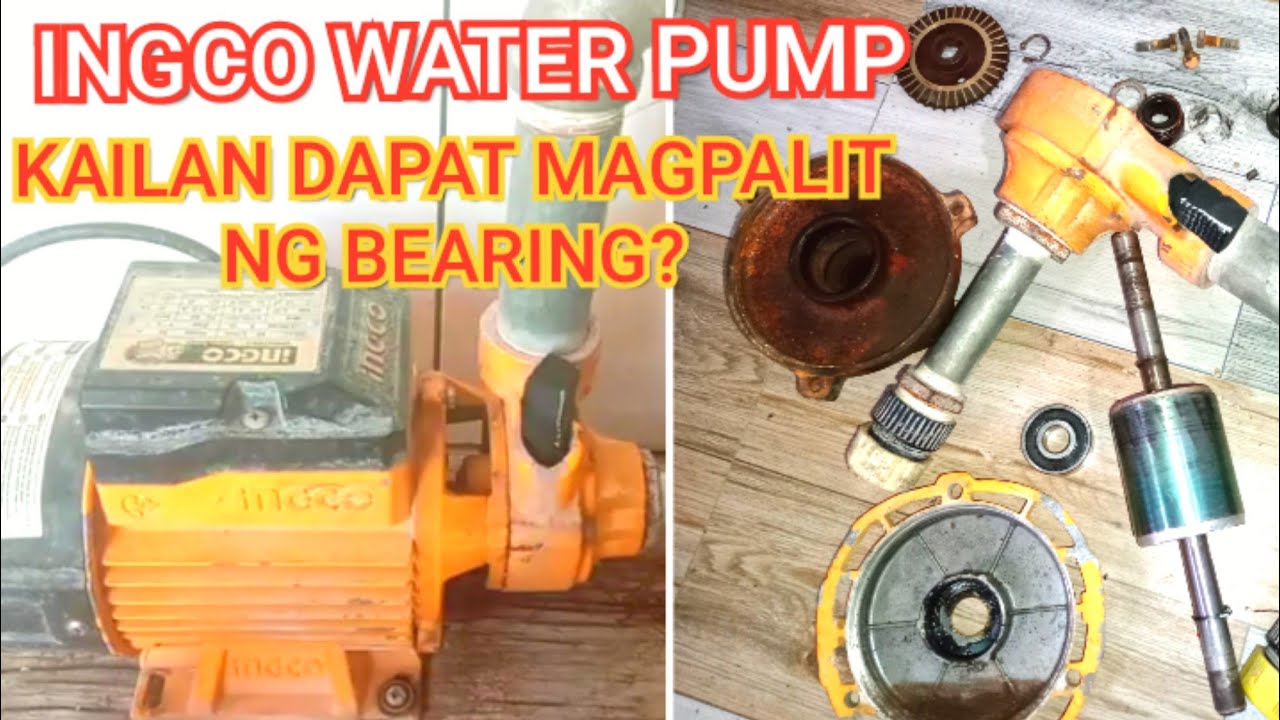 INGCO WATER PUMP | DISASSEMBLY | REPLACE BEARING | ASSEMBLY