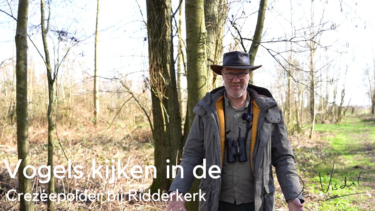 Vogels kijken in de Crezéepolder #1741