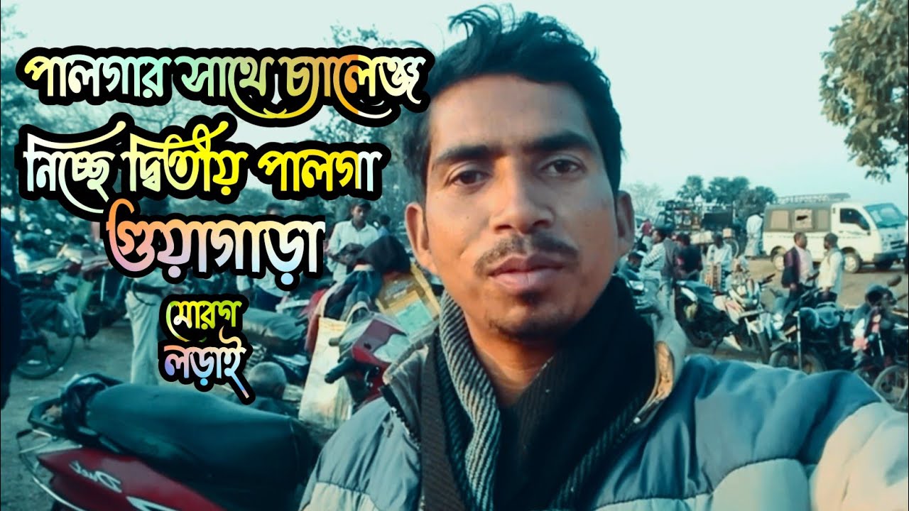 🐓 গুয়াগাড়ার মাঠে দ্বিতীয় পালগার তুমুল মোরগ লড়াই! | Cockfighting | 🏆 Murga Fight Championship 