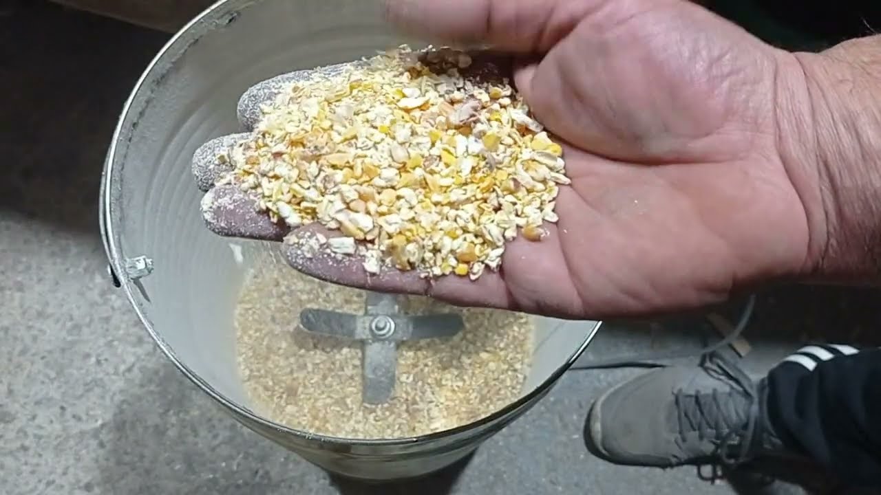 Fabriquer un Broyeur de graines pour les poules