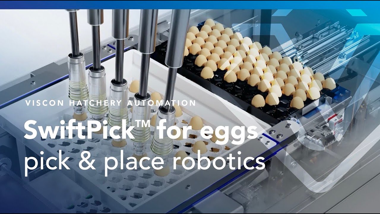 Viscon SwiftPick&trade; technology - robotic egg handling