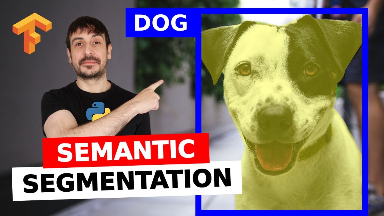 Семантическая сегментация с использованием Tensorflow + OpenCV на Python | Учебное пособие по ком...