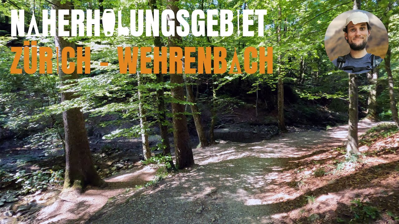 Naturnaher Spaziergang in der Stadt Z&uuml;rich - Z&uuml;richsee-Rundweg (Rehalp - B&uuml;rkliplatz)