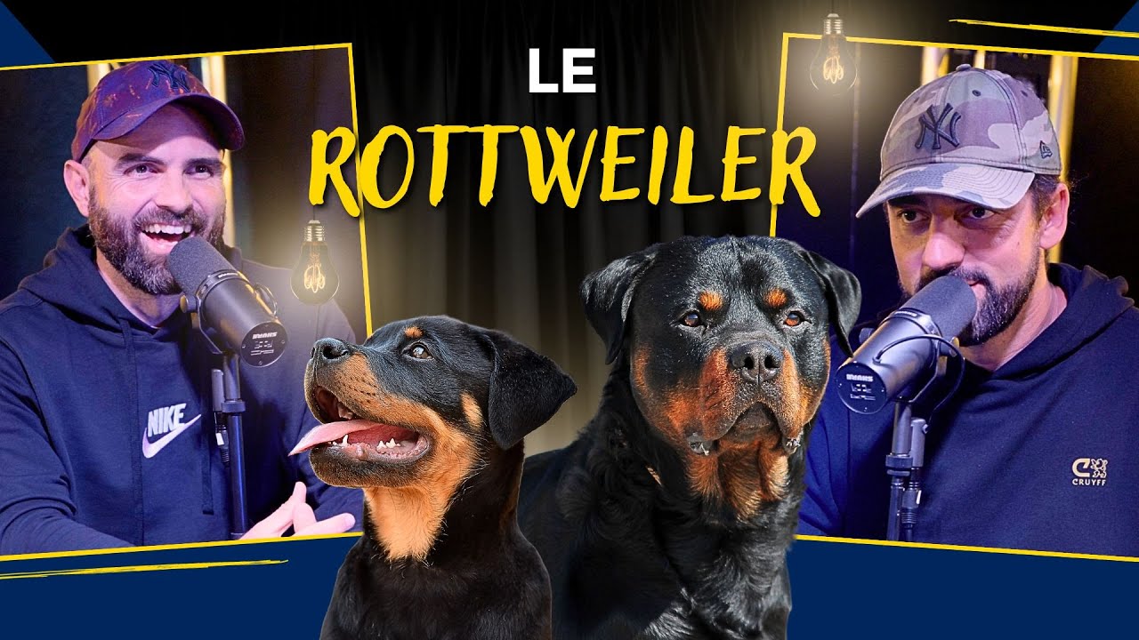 Le ROTTWEILER