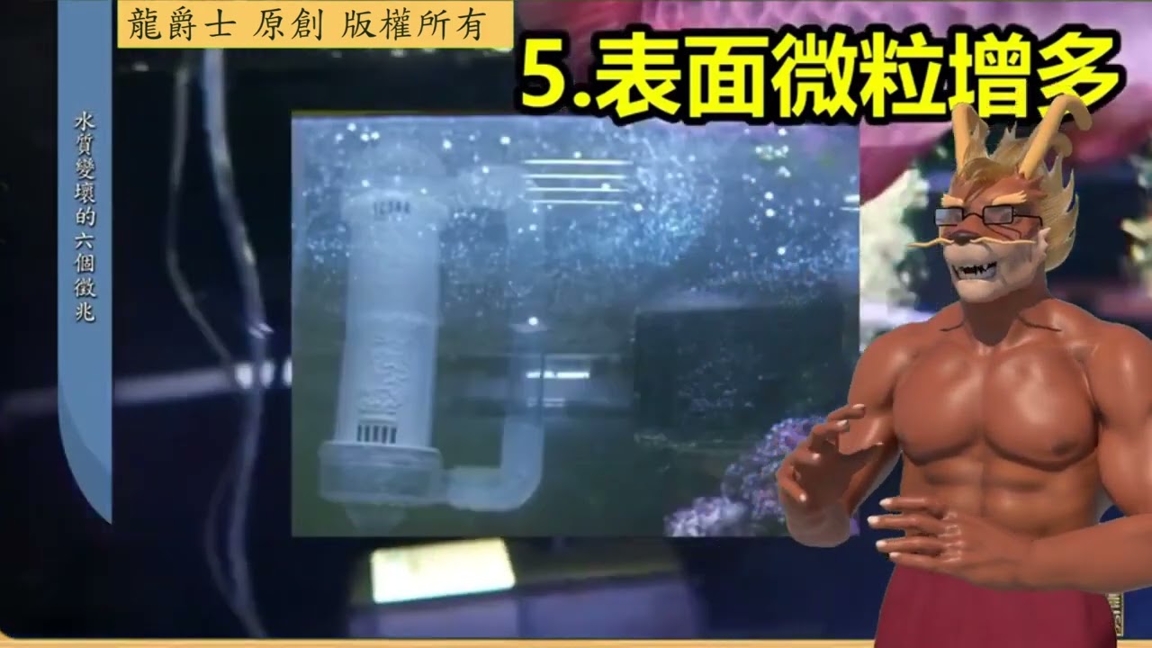 【龍爵士】水族百科 水質變壞的六個徵兆