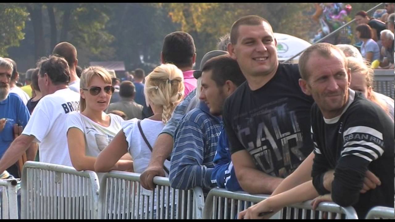 Konji ponovo jure 981