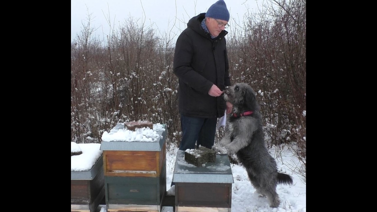 Januar bei den Bienen - und was macht der Imker im Januar in unserer Imkerei