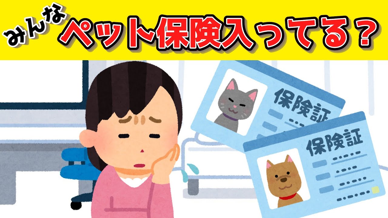 【有益】ペット保険って実際どうなの？お得？まとめ【犬・猫】