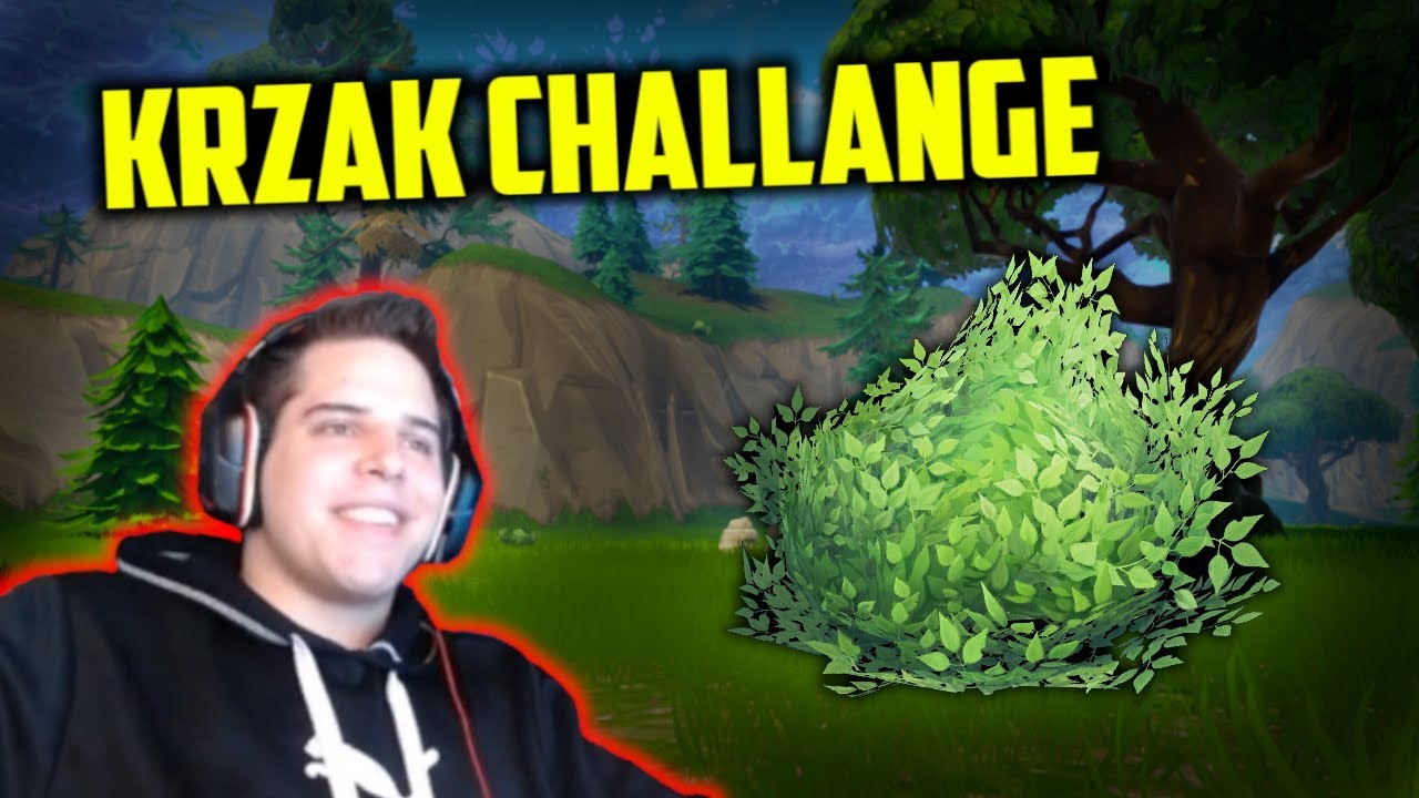 ZONY! Krzak challange! Skąd się wziął latarnia dance? 50k follow special! | SHOTY | ZONY