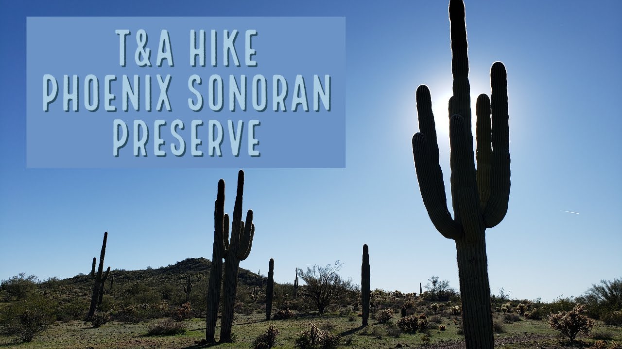 Phoenix Sonoran Preserve Hike