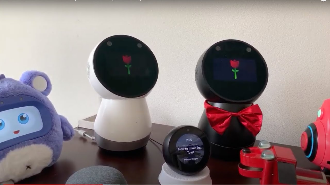 Jibo и друзья — субботняя прямая трансляция (Red Rose)