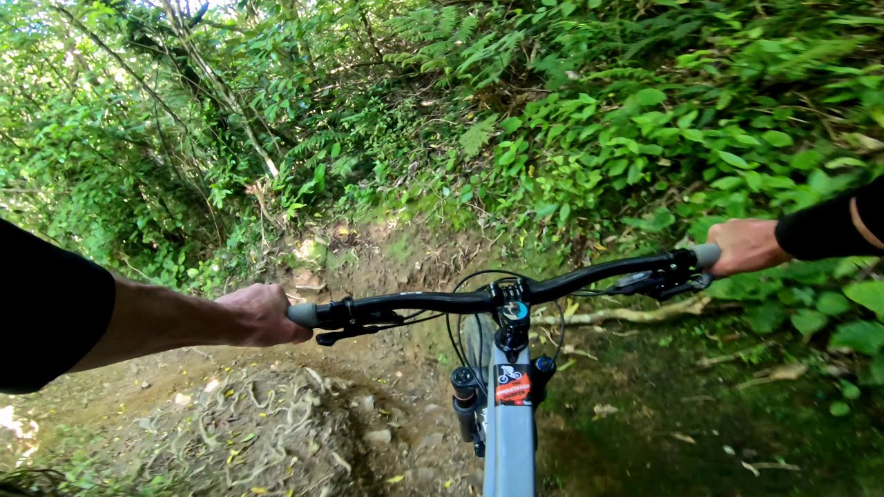 Trickle Falls @ Makara Peak Mountain Bike Park. Wellington.