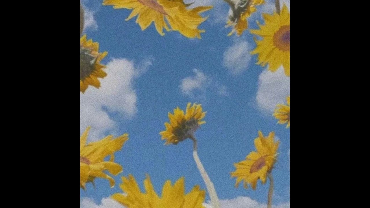 [free for profit] powfu ukulele x lofi type beat - " bittersweet " | 2024