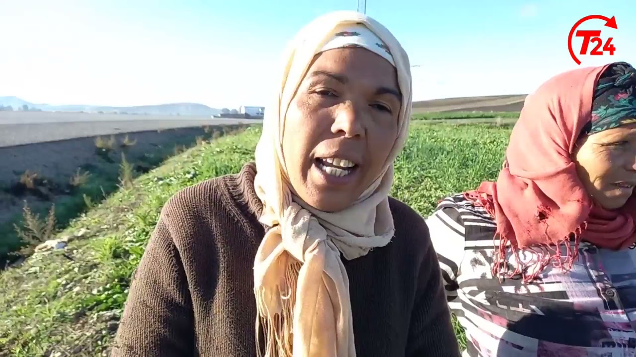المنطقة السقوية وادي غريب فرنانة بين معاناة المرأة العاملة و معاناة ارتفاع كلفة الانتاج للفلاح