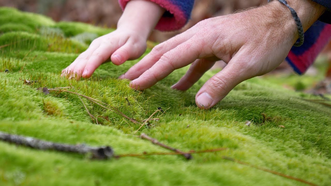 Camping with kids