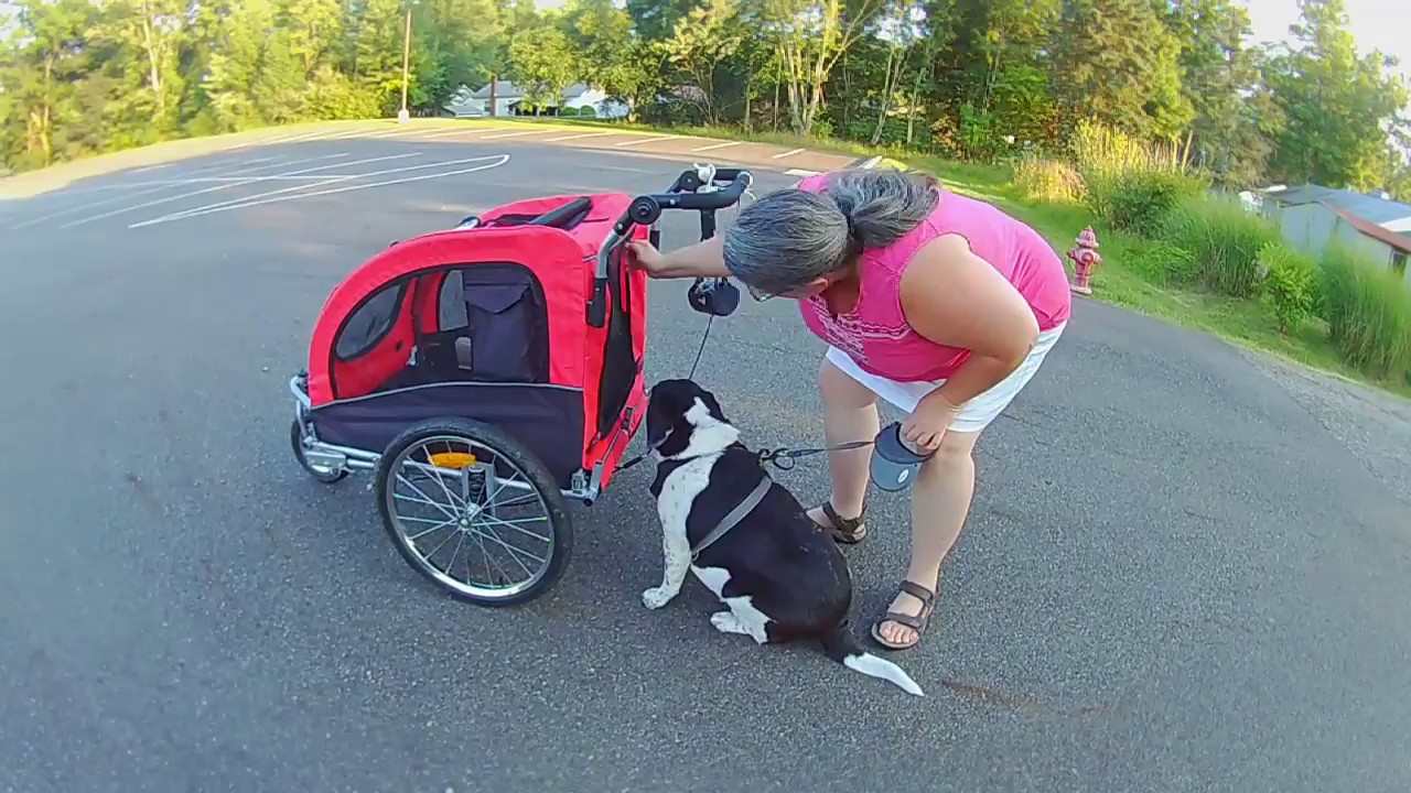 Aosom Pet Stroller and Bike Trailer