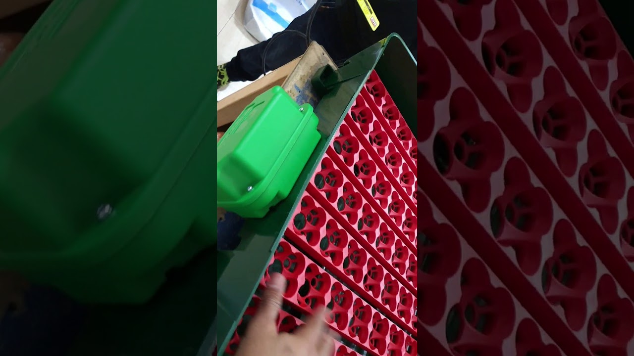فقاسة ريفر ٤٩ بيضه