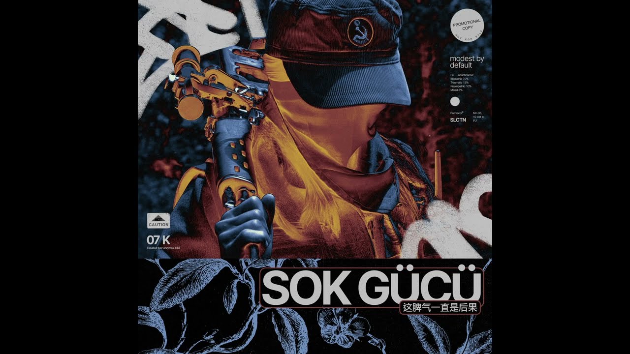 modest by default - SOK G&Uuml;C&Uuml; 这脾气一直是后果