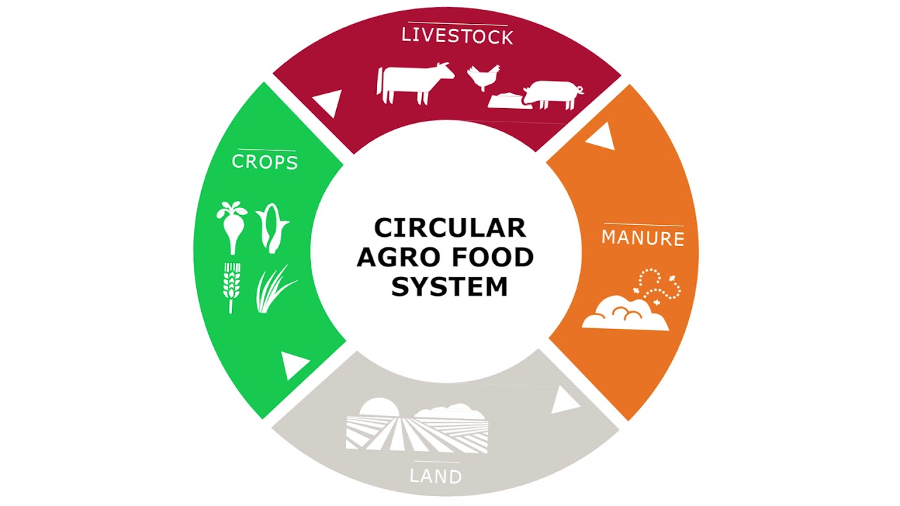 Martin Scholten: a Circular AgroFood System
