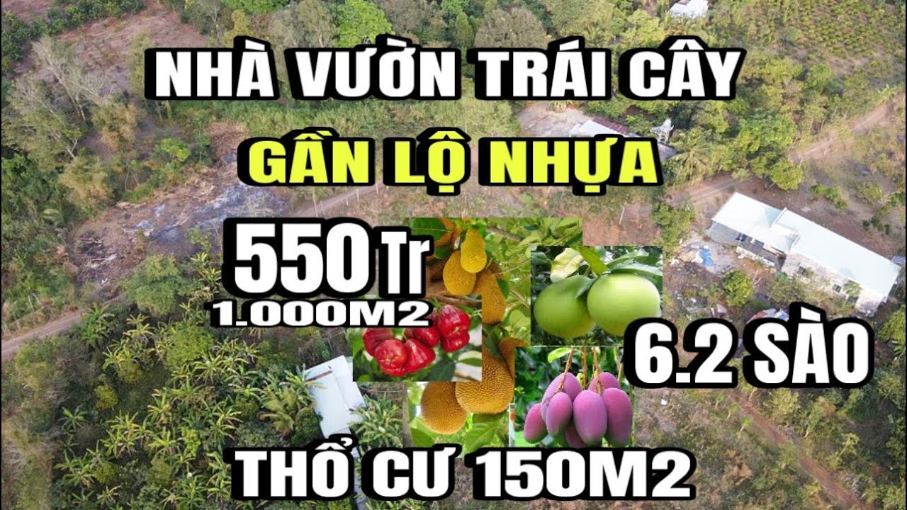 Anh tịnh Bán gấp, nhà vườn trái cây, gần lộ nhựa, 6.2 sào, thổ cư 150M2, Huyện cẩm Mỹ cũ, Đồng Nai