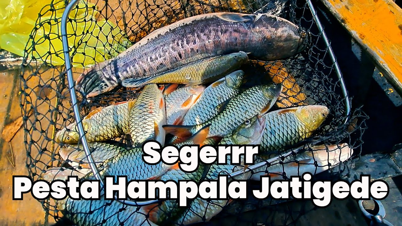 Casting Toman dan Hampala Waduk Jatigede