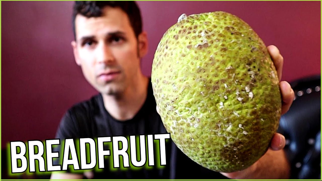 ХЛЕБНОЕ ДЕРЕВО ПРАВИЛЬНО: 5 способов приготовить этот удивительный фрукт! — Weird Fruit Explorer