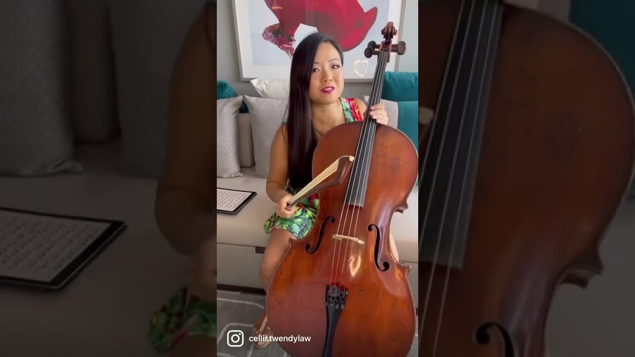 How to Have Perfect Cello Double Stops?