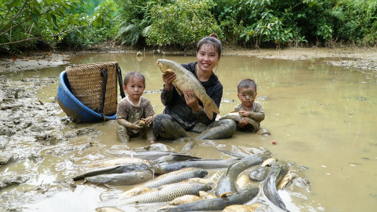 how to harvest giant fish pond to sell at market - cook porridge for little daughter to eat