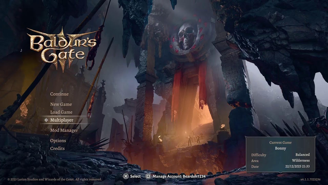 Baldur's gate 3 with friends