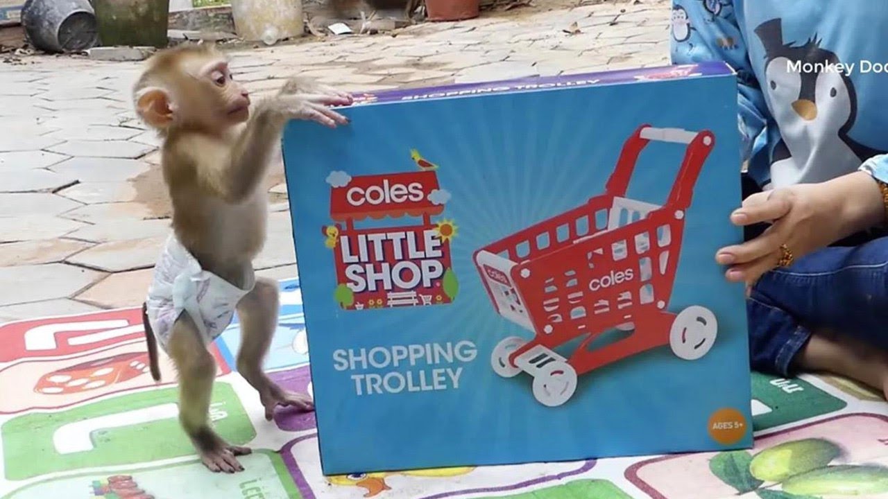 Most Exciting & Surprise Moly Help Mom Unbox Sho