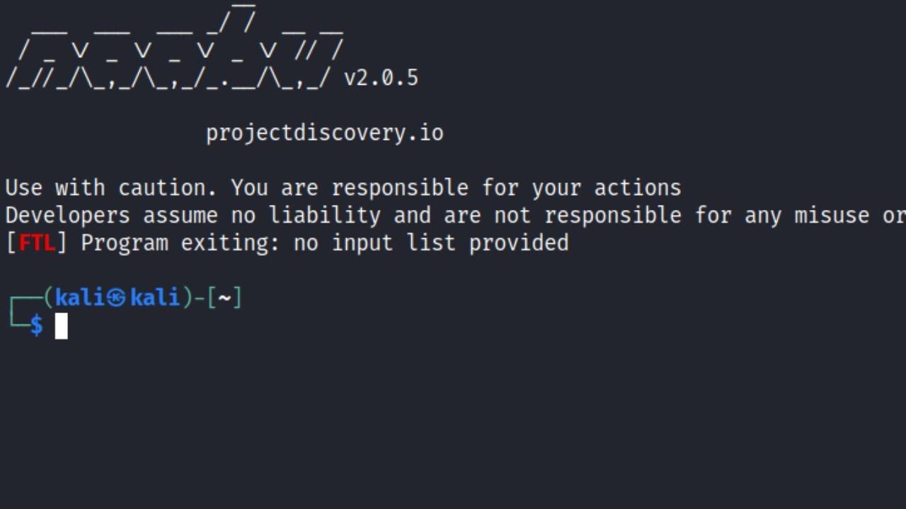Naabu Port Scanner in Kali Linux