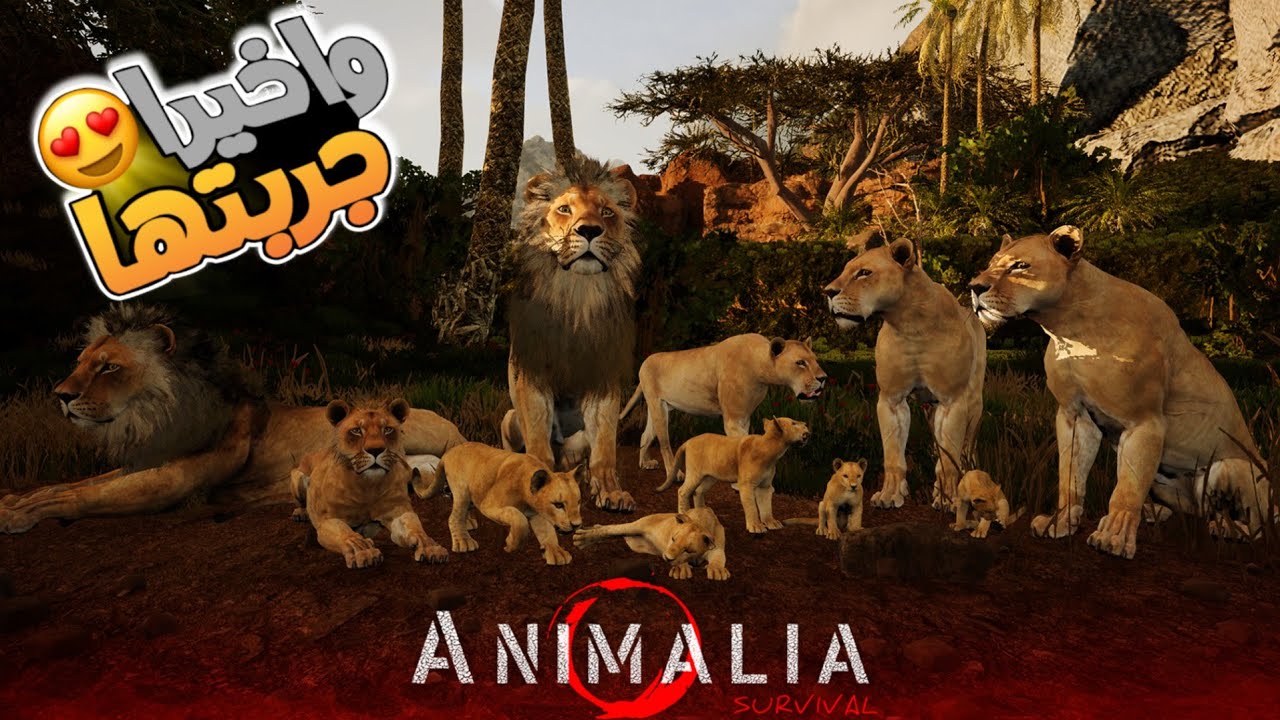 انيميليا سرفايفل | حياة الحيوانات | محاوله البقاء 😍  !! Animalia Survival
