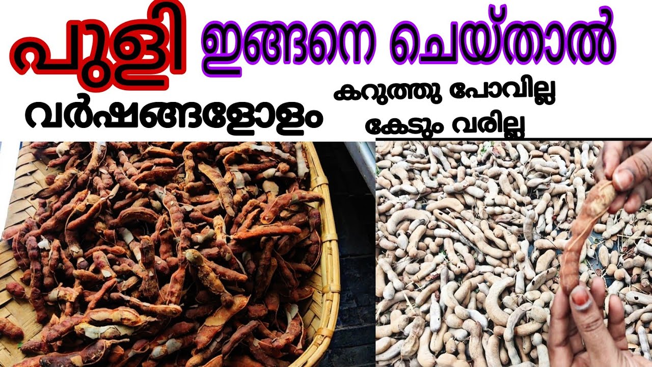 പുളി എളുപ്പത്തിൽ കുരുകളഞ്ഞ് കറുത്തു പോകാതെ വർഷങ്ങളോളം സൂക്ഷിക്കാം