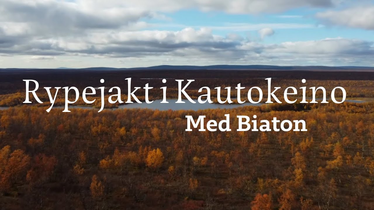 Rypejakt i Finnmark 2022 | Rypejakt med Biaton 2022 | Grousehunting in Norway