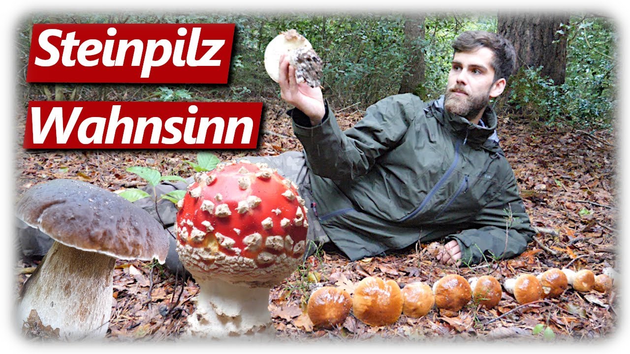 STEINPILZ WAHNSINN September 2022 | Pilze ohne Ende + Rezept + @Sabrina Outdoor