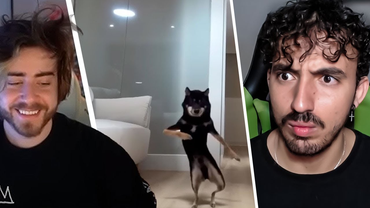 o reddit dos memes aleatórios - Cellbit | Leozin React