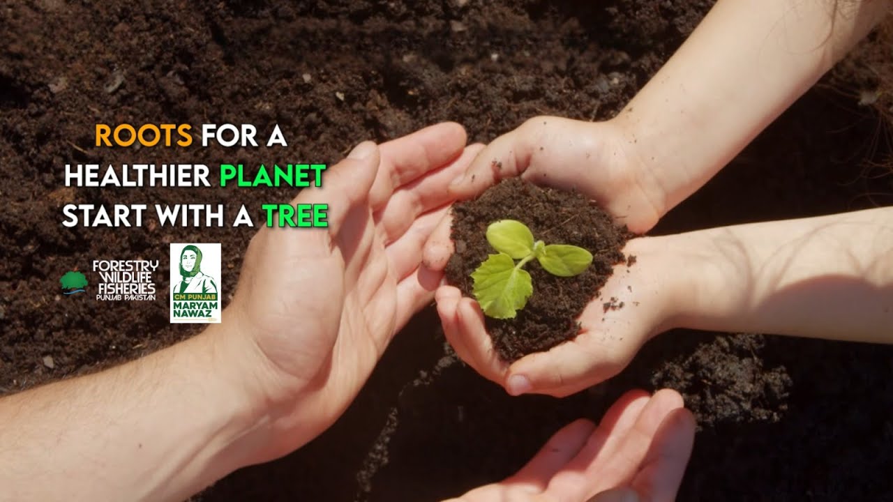 Plant a Tree Now | Join Spring Season Tree Plantation Campaign 2025 | FW&F, Punjab