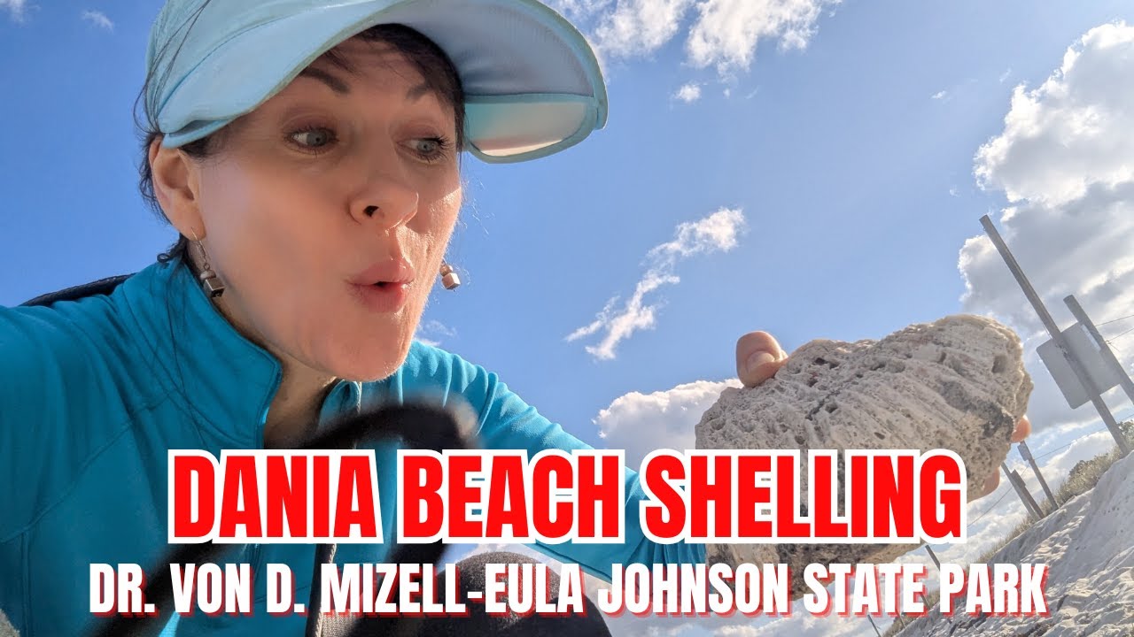 Shells and Raccoon Encounters! |  The Wild Side of My Dania Beach Adventure!
