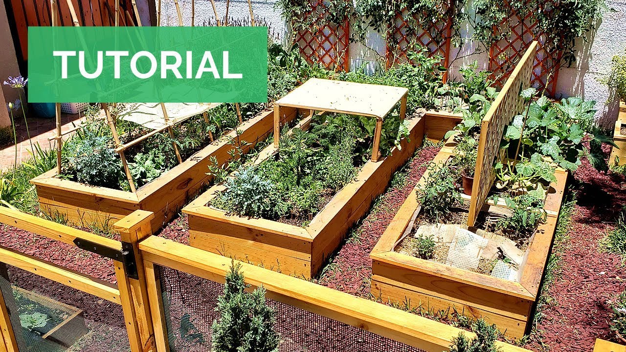 El MEJOR HUERTO URBANO! (tan solo en 1 mes) Crea una Huerta en Casa paso a paso 🌱🔨