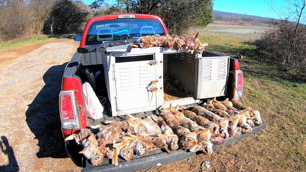 Rabbit Hunting Opening Day of James D Martin Management Area