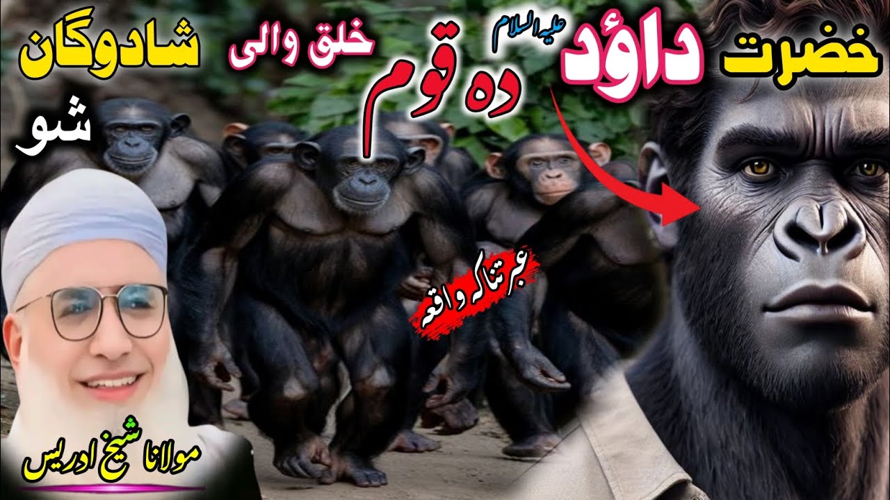 Maulana Muhammad Idrees Shab/ دہ خضرت داؤد علیہ السّلام خلق والی شادوگان شو / Pushto Bayan