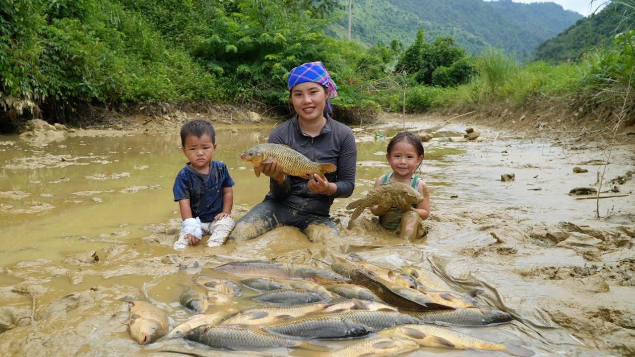 how to harvest giant pond fish on rainy days to sell - cook porridge for little daughter to eat