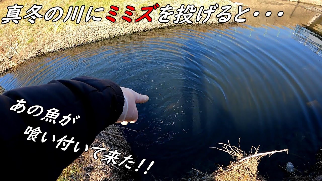真冬でも喰い付いてくる魚