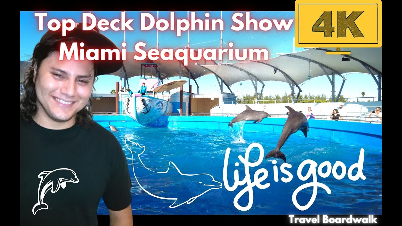 (4K) Miami Seaquarium | Top Deck Dolphin Show | Miami Florida |