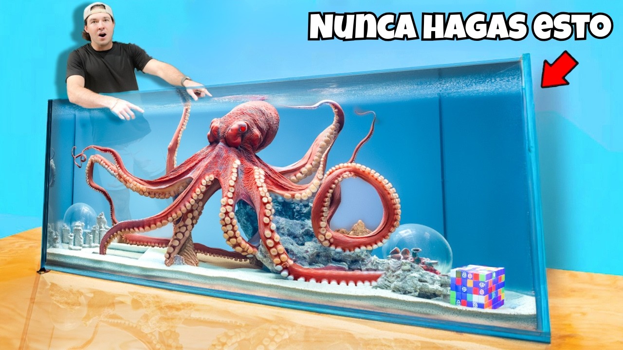 Pulpo vs Acertijos Bajo el Agua