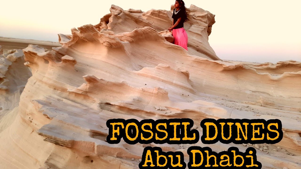 Our Experience in Fossil Dune Abudhabi | A Trip to  Fossil Dunes | Lemyz Time