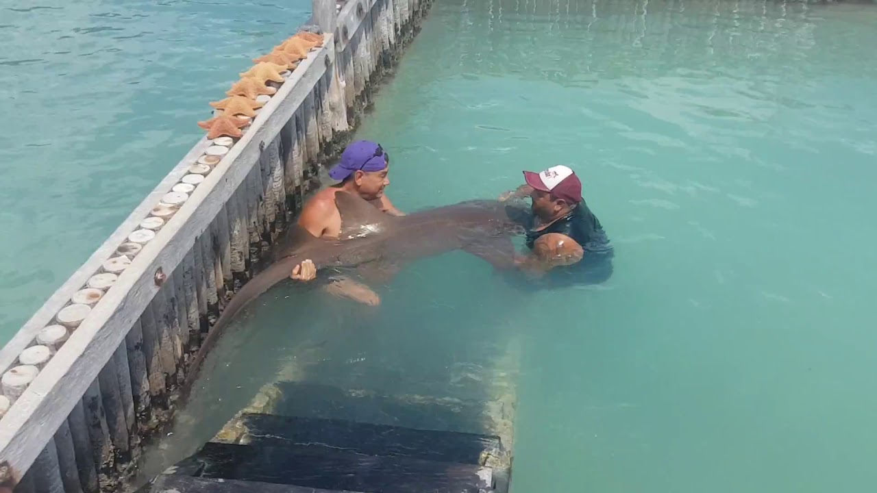 Isla Mujeres
